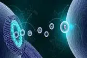 استراتژی جدید از اگزوزوم‌های مهندسی‌شده برای تقویت ایمنی در برابر سرطان استفاده می‌کند