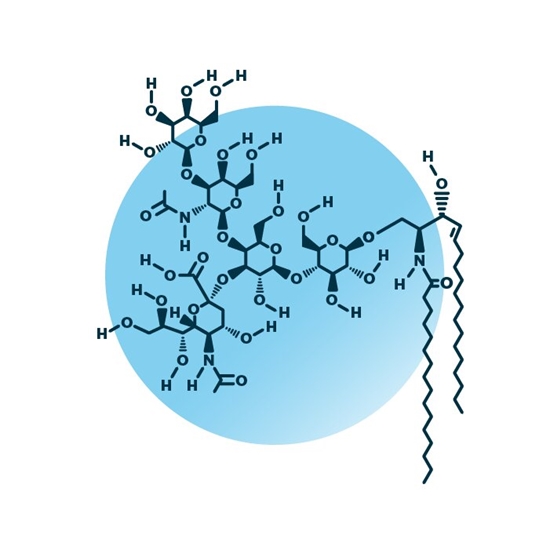 example_structure_of_ganglioside_gm1_34-1-2 