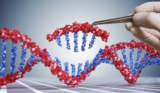 CRISPR 