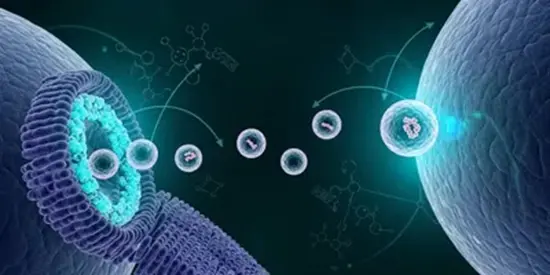 exome-therapeutics-s 