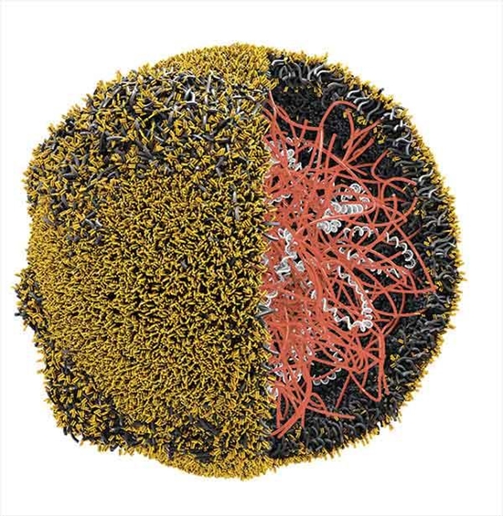 nano-CAR-T-article 