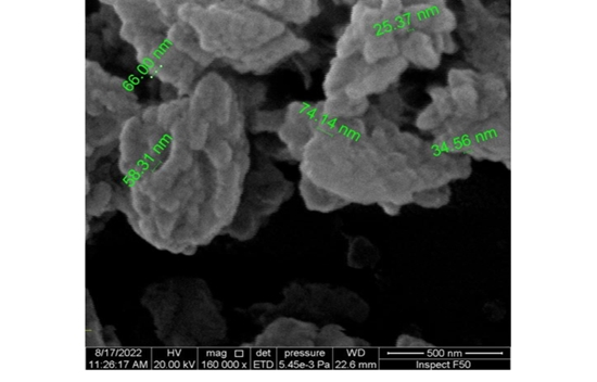b-Surface-nanoscale-beta-glucans-using-the-FESEM-device-310-X-ray-diffraction-Figure 