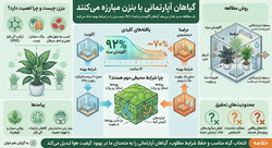 گیاهان آپارتمانی؛ سلاحی بیولوژیک در برابر آلودگی‌های شیمیایی منازل